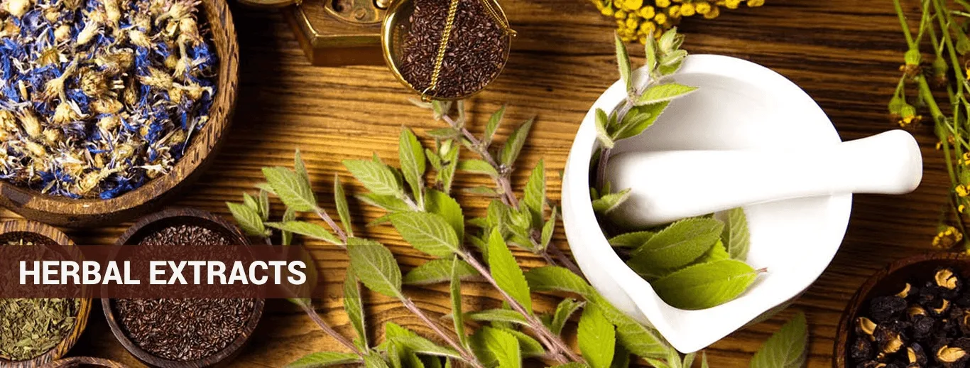 Herbal Extracts Manufacturer