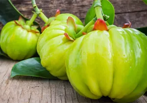 garcinia cambogia in india