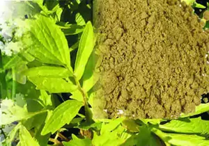 natural herbal extract in india