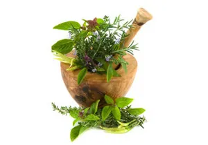 herbal extract manufacturer